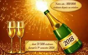 Le 100 000ième visiteur dépassé
