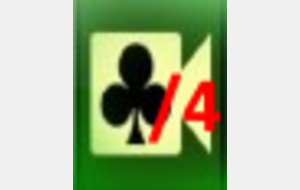 RealBridge Match/4
