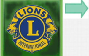 Tournoi Lions Céladon